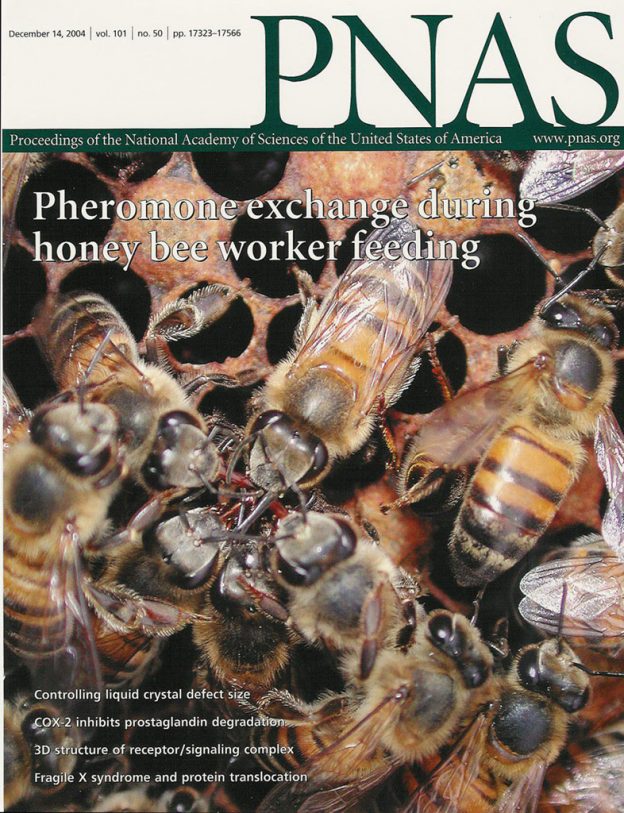 cover-PNAS – Copy – Bee the Best!